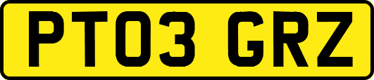 PT03GRZ