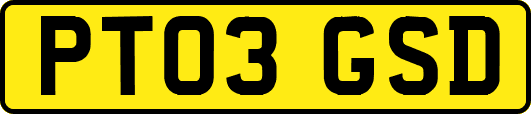 PT03GSD