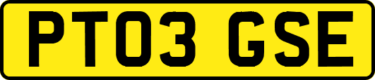 PT03GSE
