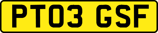 PT03GSF