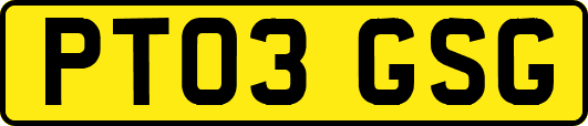 PT03GSG