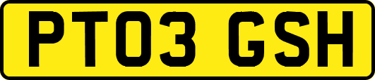 PT03GSH