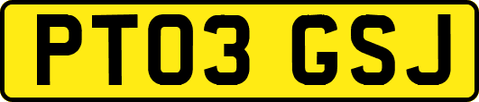 PT03GSJ