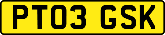 PT03GSK
