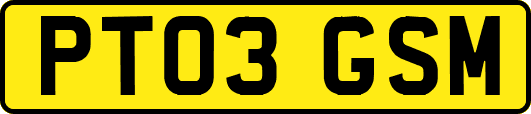 PT03GSM