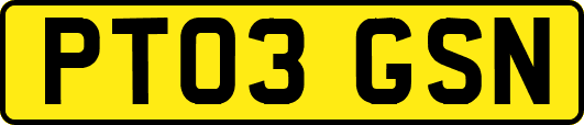 PT03GSN