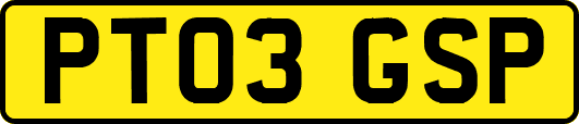 PT03GSP