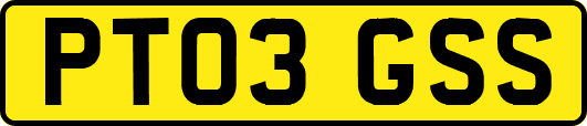 PT03GSS