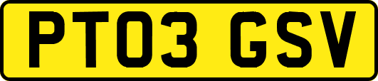 PT03GSV