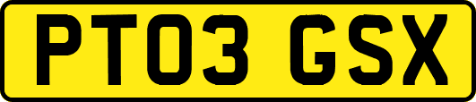 PT03GSX