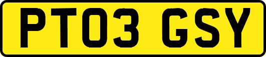 PT03GSY