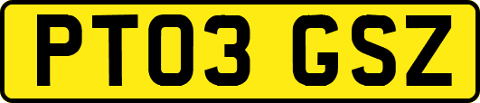 PT03GSZ