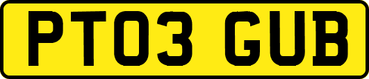 PT03GUB