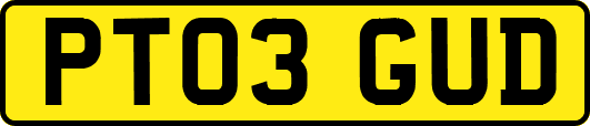PT03GUD