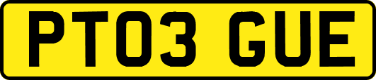 PT03GUE