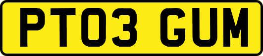 PT03GUM