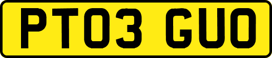 PT03GUO