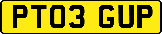 PT03GUP