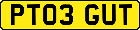 PT03GUT
