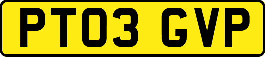 PT03GVP