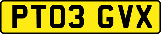PT03GVX