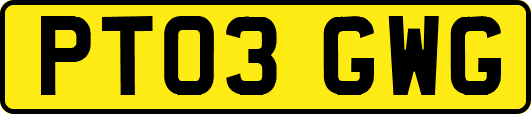 PT03GWG