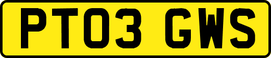 PT03GWS