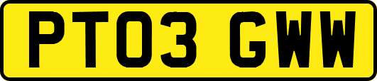 PT03GWW