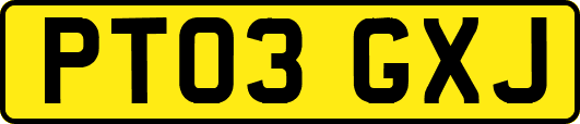 PT03GXJ