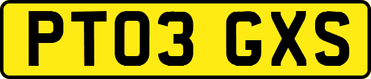 PT03GXS