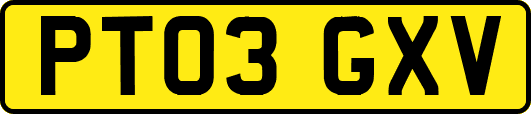 PT03GXV