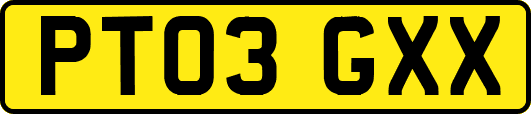 PT03GXX