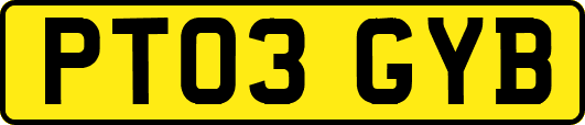 PT03GYB