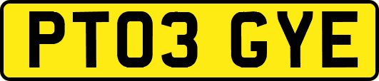 PT03GYE