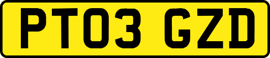 PT03GZD