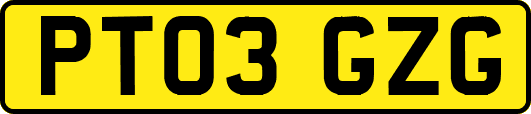 PT03GZG