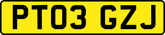 PT03GZJ