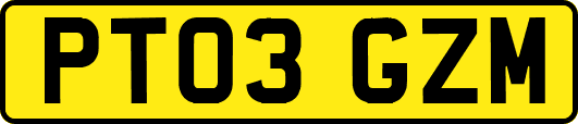 PT03GZM