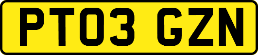 PT03GZN