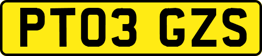 PT03GZS