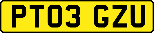 PT03GZU