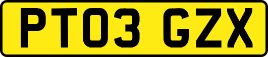 PT03GZX