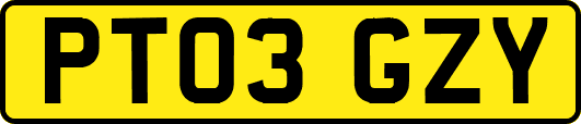 PT03GZY