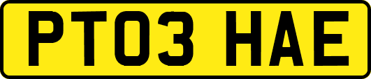 PT03HAE