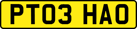 PT03HAO