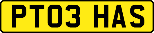 PT03HAS