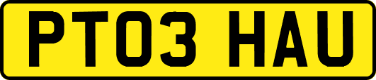 PT03HAU