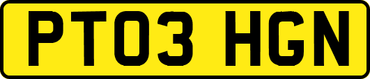 PT03HGN