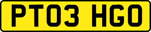 PT03HGO
