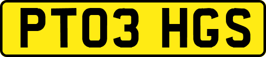 PT03HGS